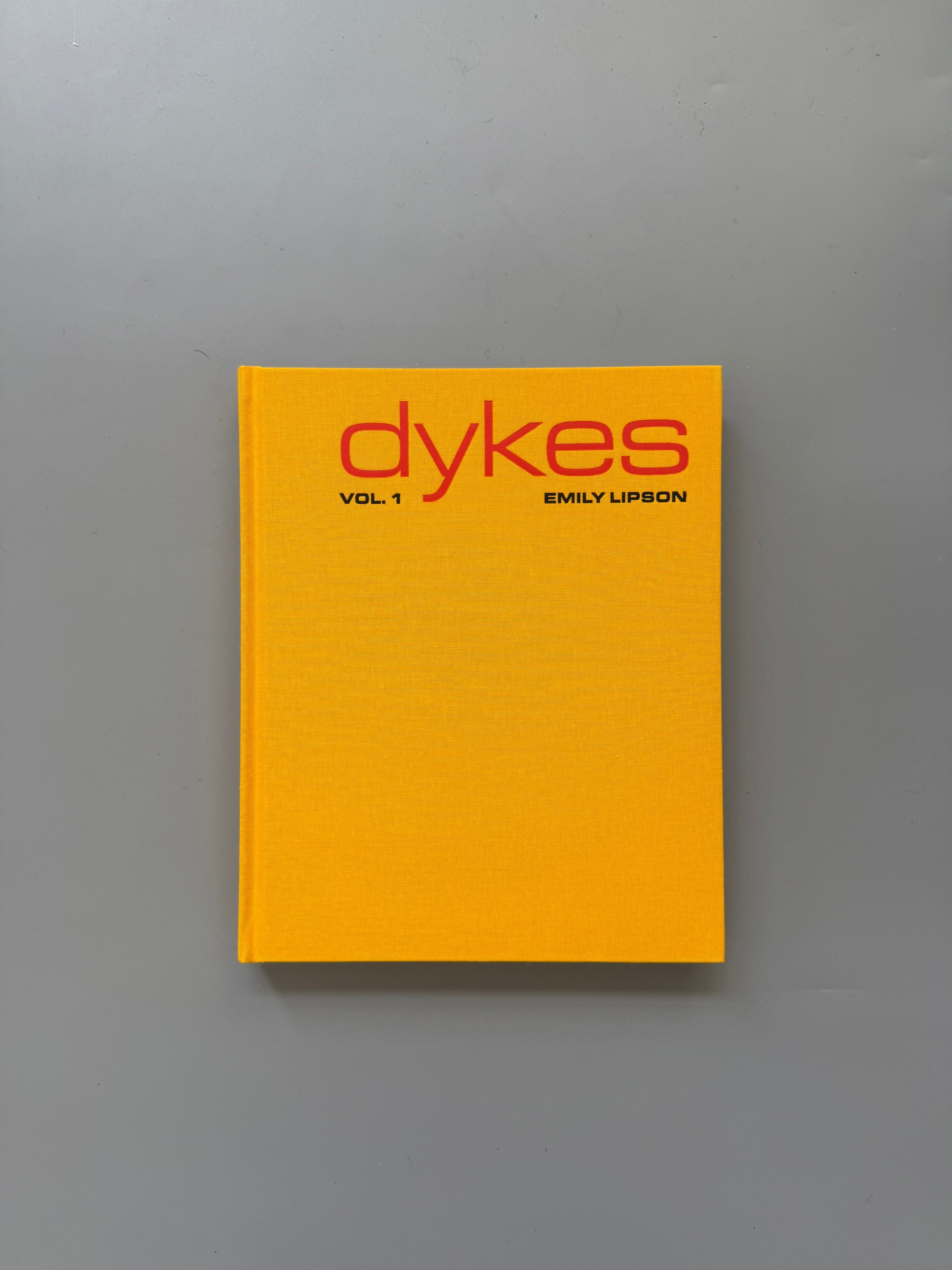 Dykes By Emily Lipson