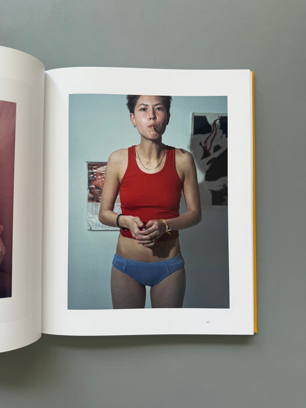 Dykes By Emily Lipson