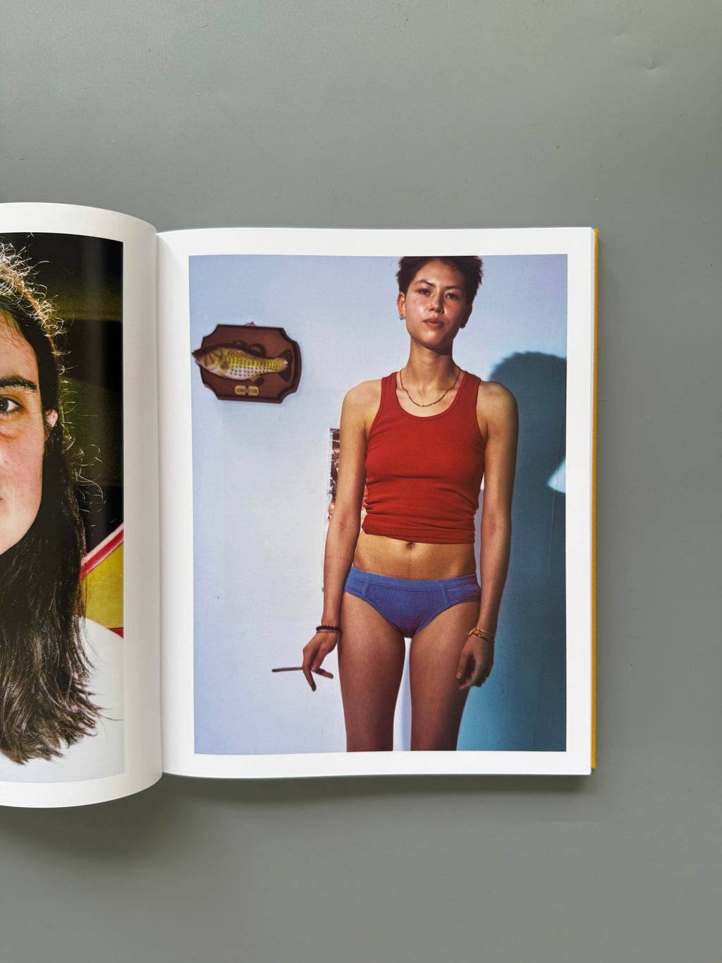 Dykes By Emily Lipson