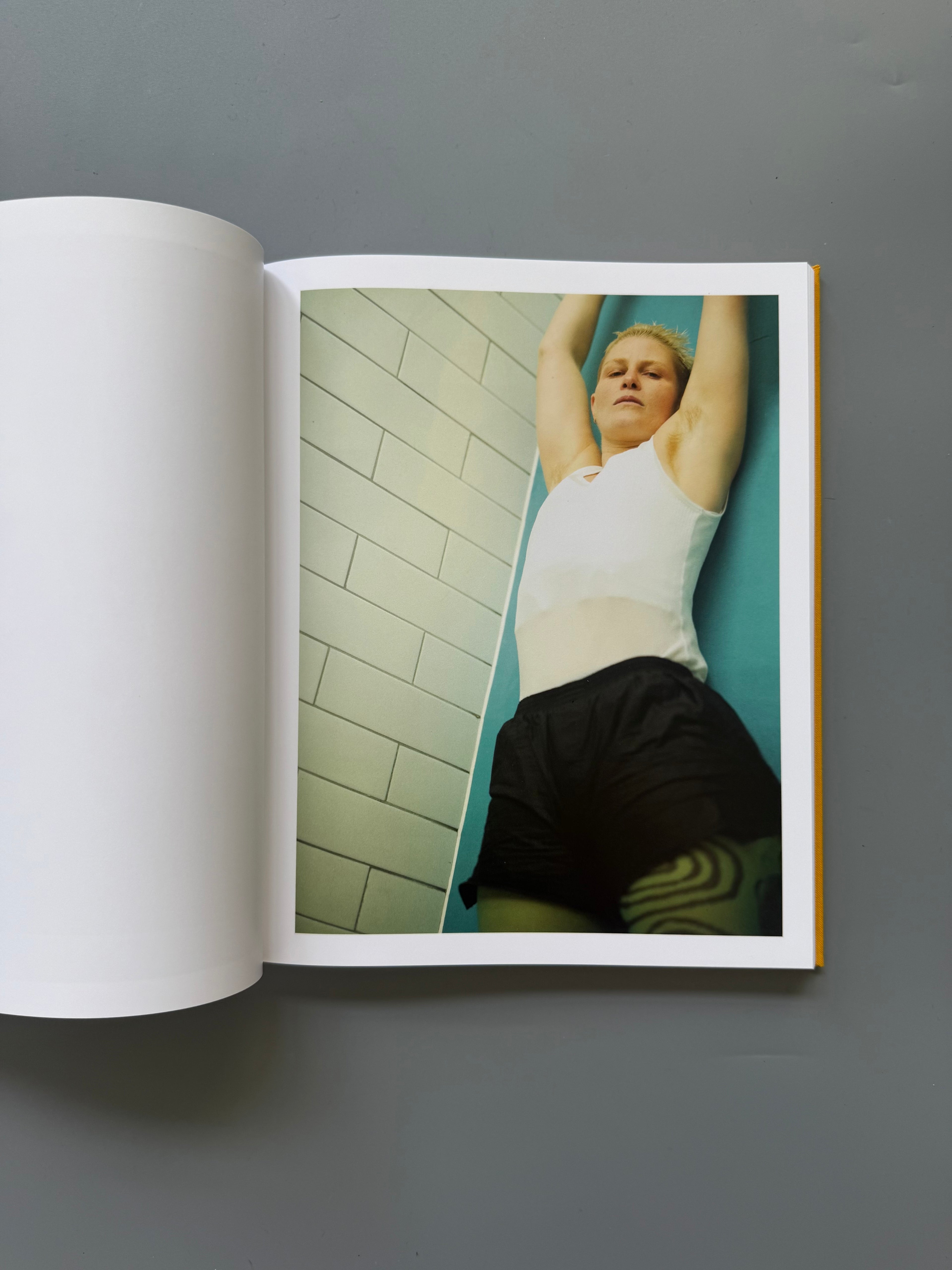 Dykes By Emily Lipson