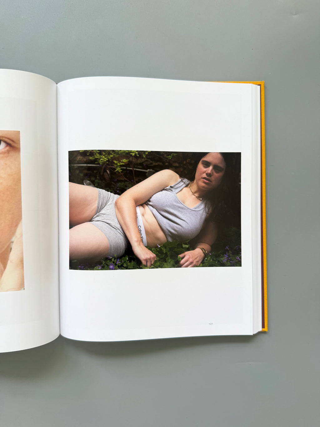 Dykes By Emily Lipson
