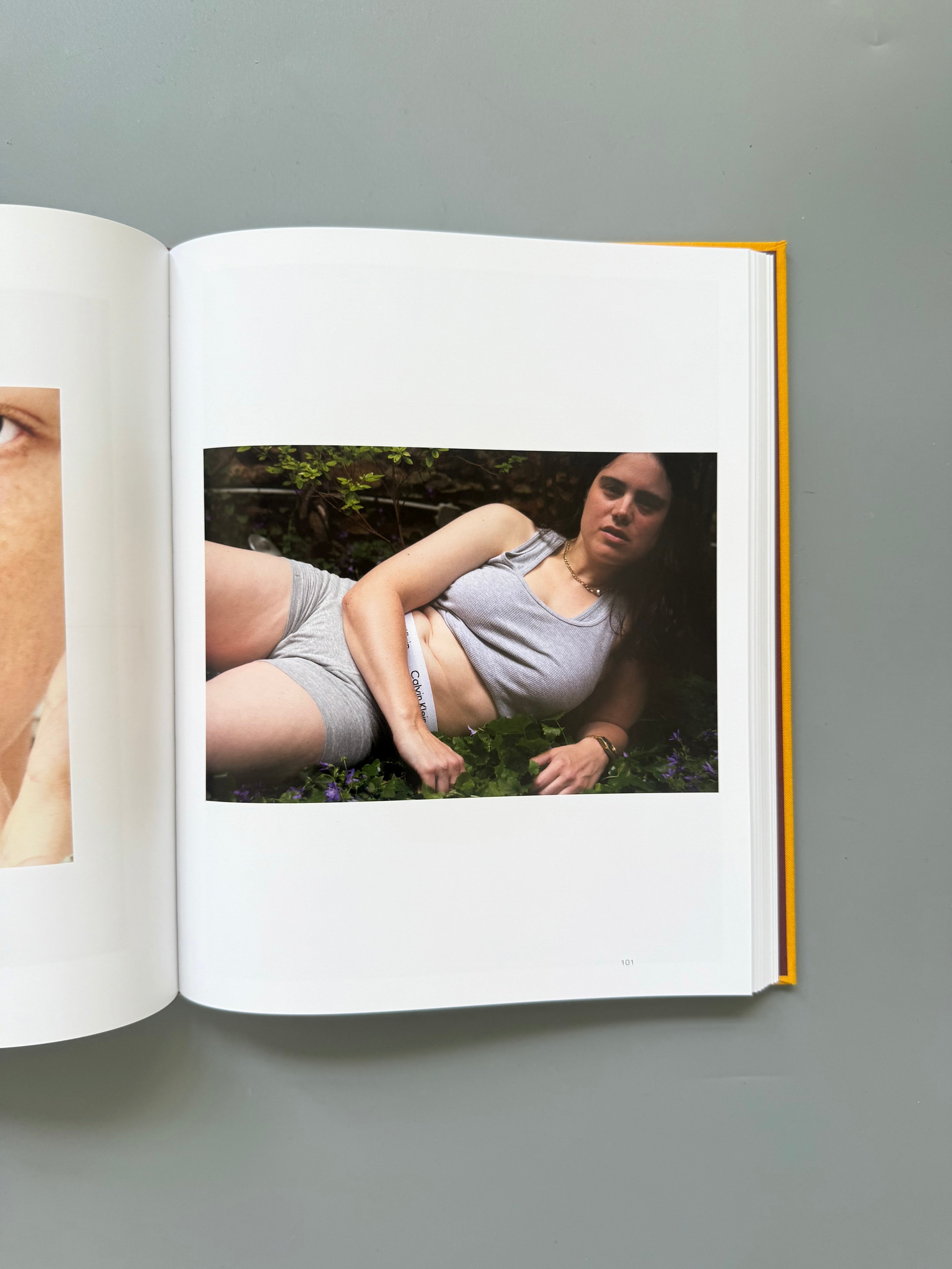 Dykes By Emily Lipson
