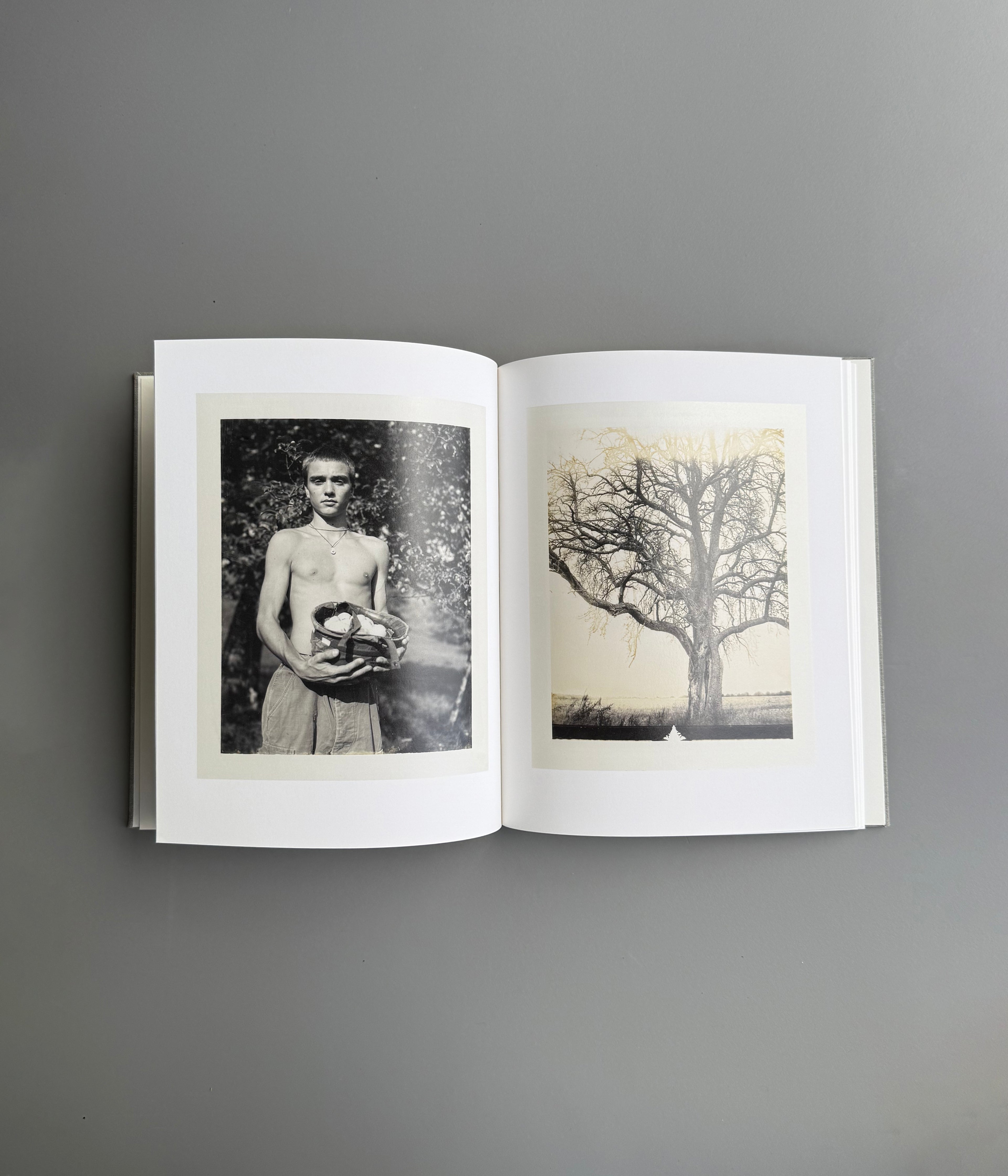 August by Collier Schorr