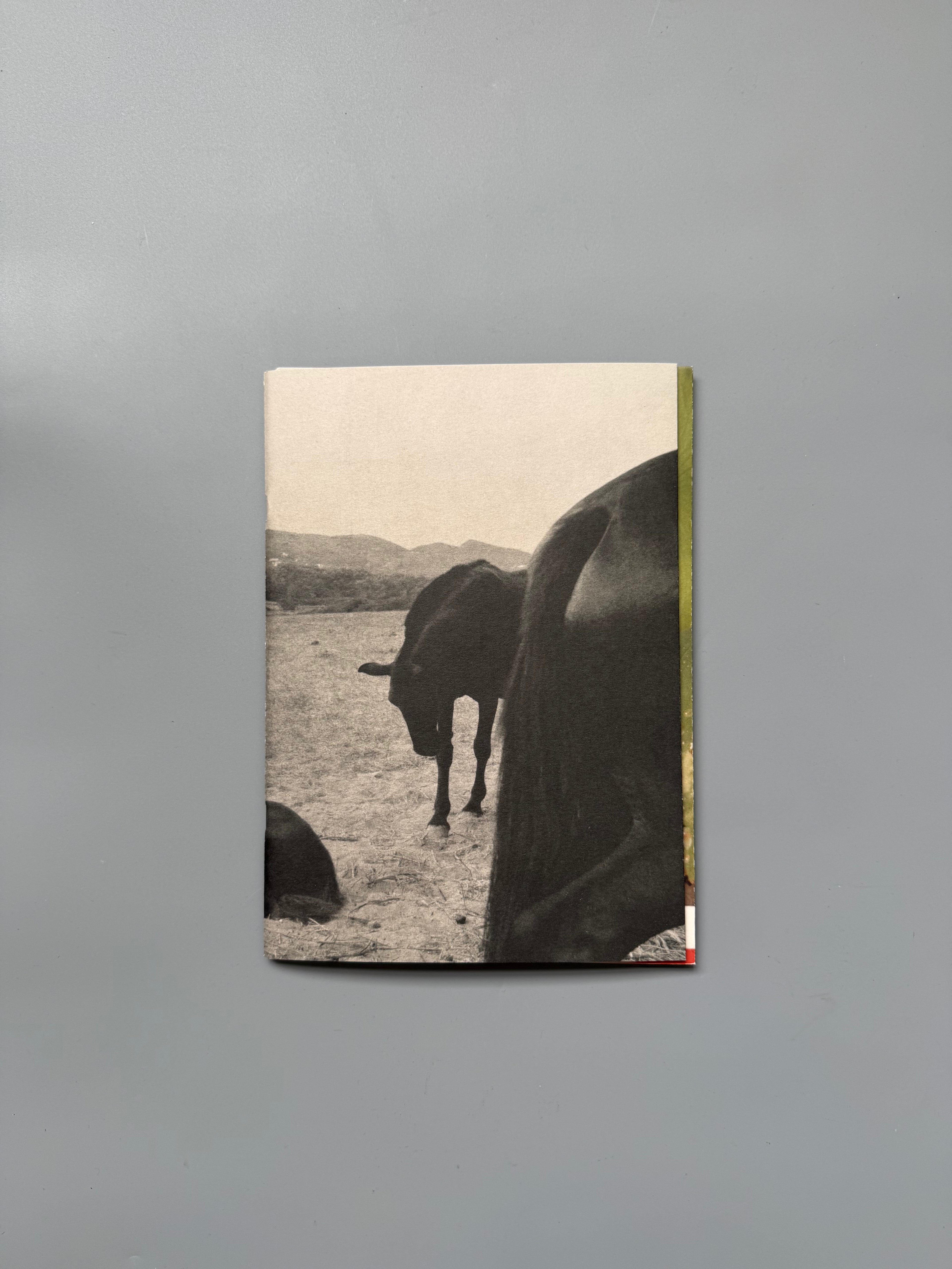 Walk To The Moon by Suffo Moncloa Signed Copy
