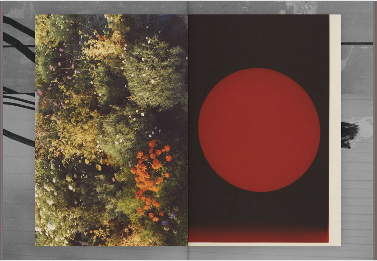 Walk To The Moon by Suffo Moncloa Signed Copy